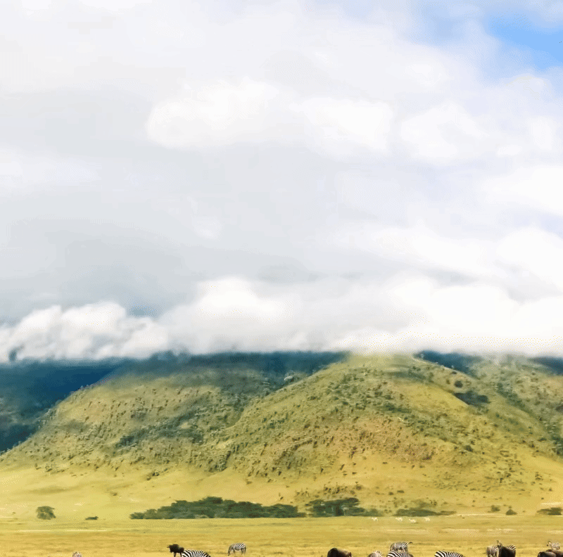 Tanzania